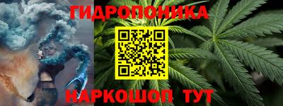 прущие грибы Пушкино