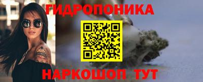 прущие грибы Пушкино