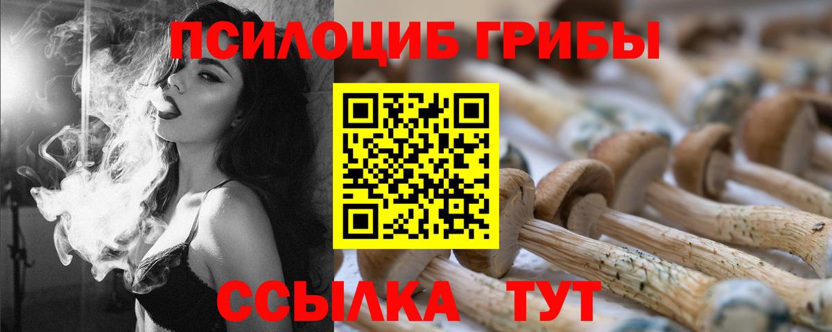 Сердобск  Галлюциногенные грибы мицелий  Вход с VPN 